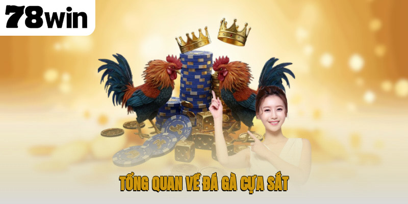 Tổng quan về đá gà cựa sắt