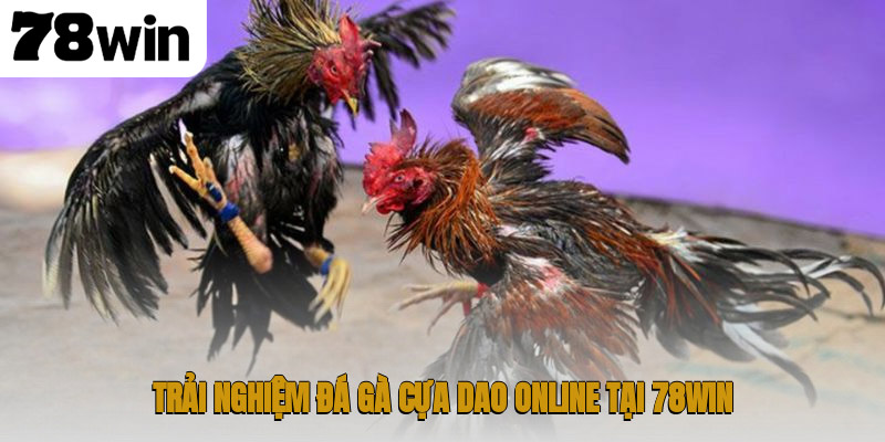 Trải nghiệm đá gà cựa dao online tại 78WIN